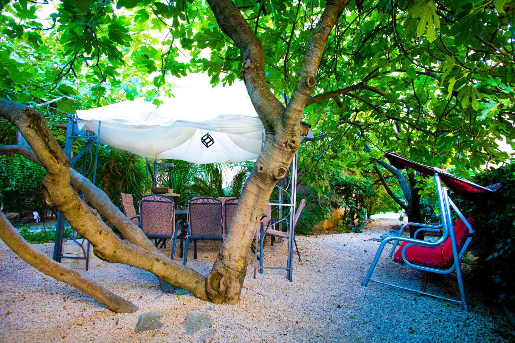 Apartments Silver Tree سبليت المظهر الخارجي الصورة